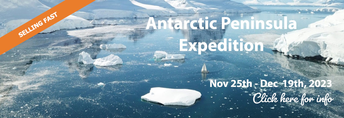 Antarctic Peninsula 2023 1 
